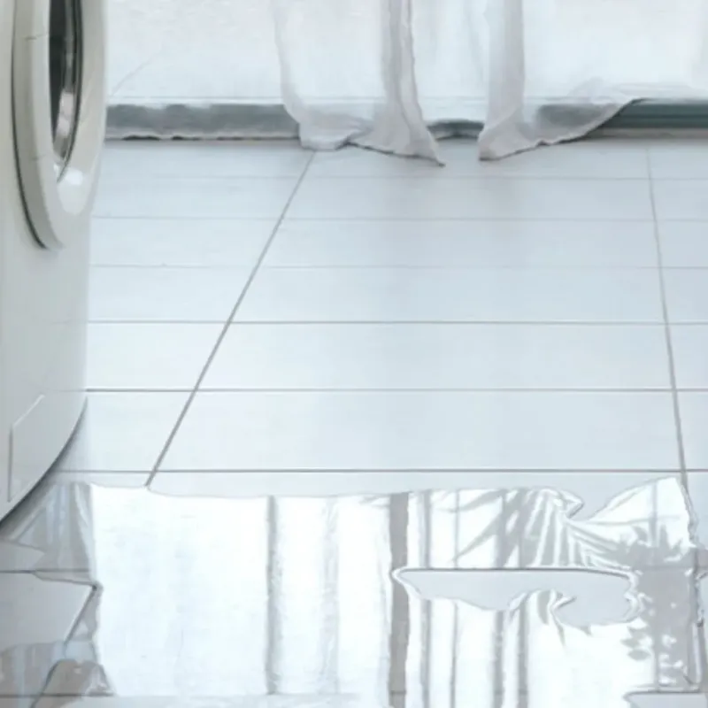 Appliance Leak Cleanup in Detroit Beach, MI