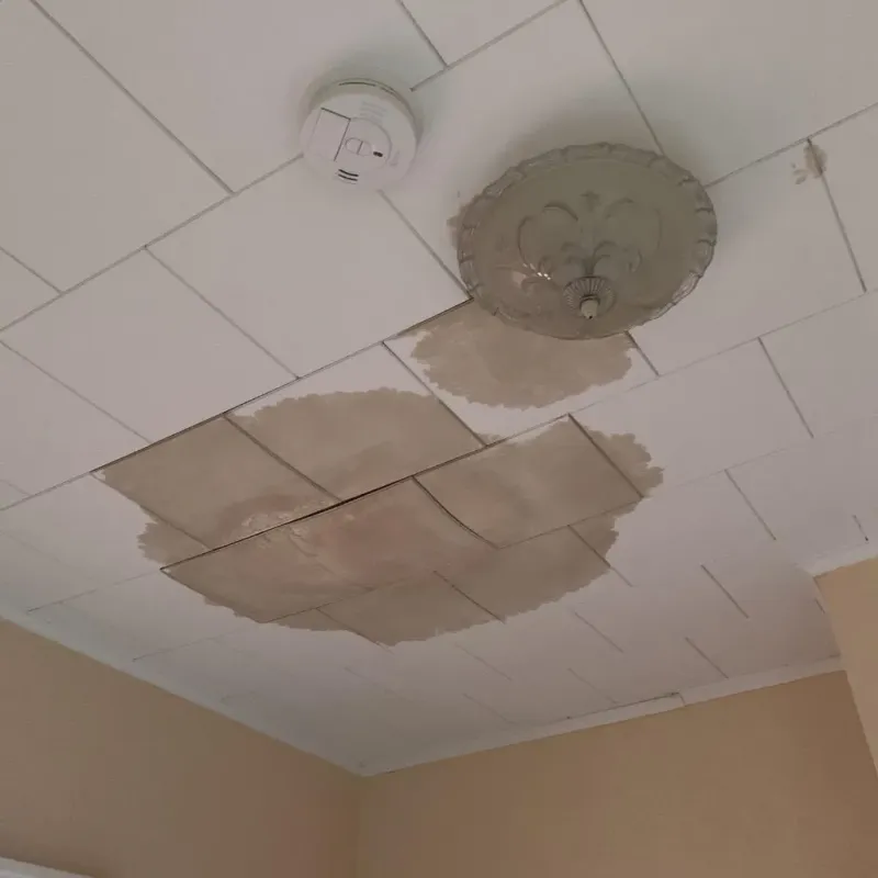 Ceiling Water Damage Repair in Detroit Beach, MI
