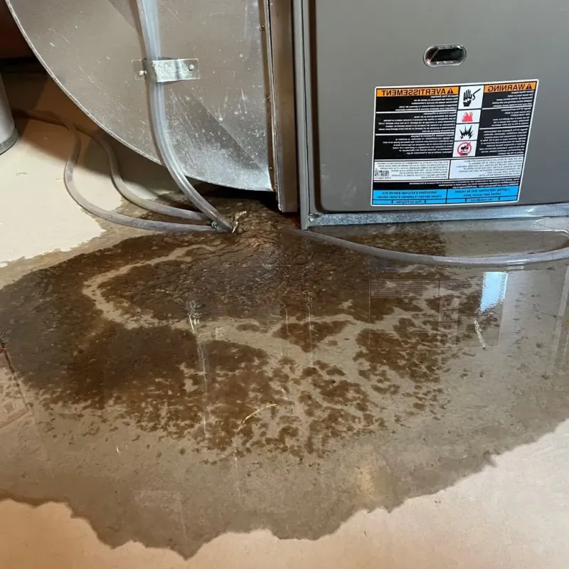 Pipe Burst and Leak Restoration in Detroit Beach, MI