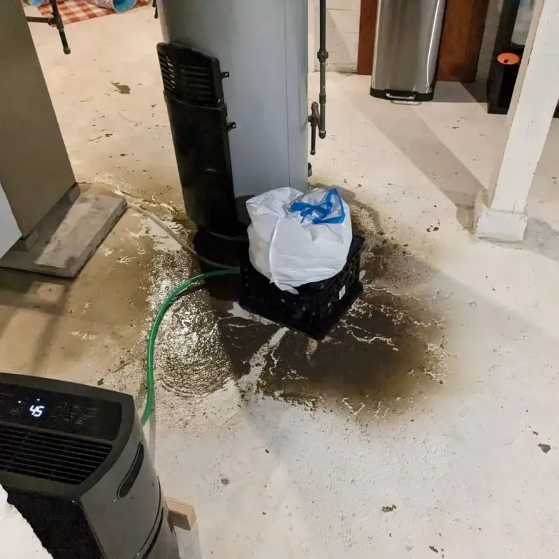 Sewage Backup Cleanup Service in Detroit Beach, MI